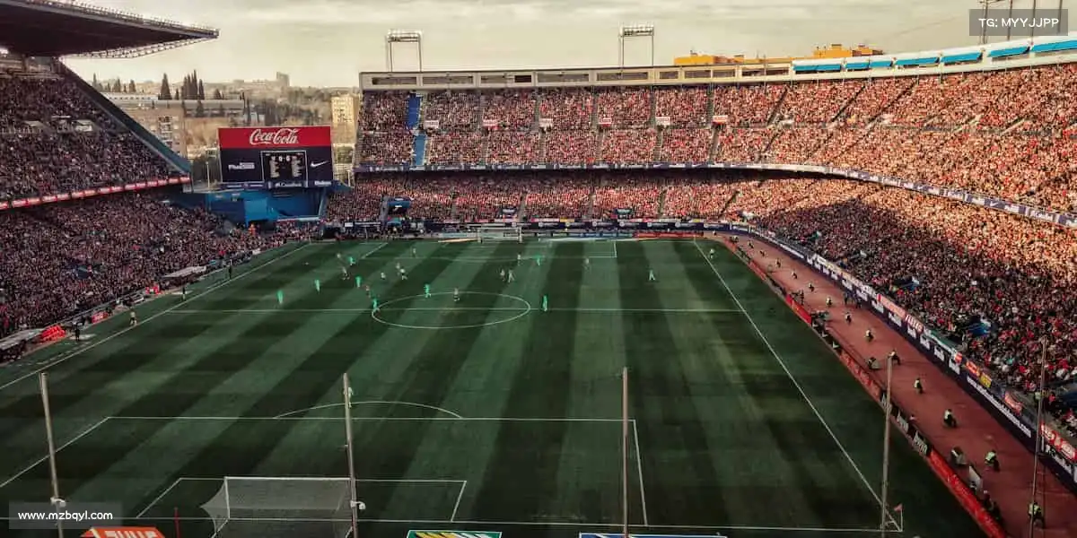 我们的品牌价值